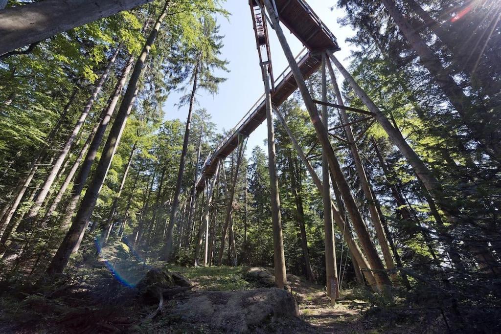 Cozy I Blockhuette Im Nationalpark I Ferienwohnung 诺雷成奥 外观 照片