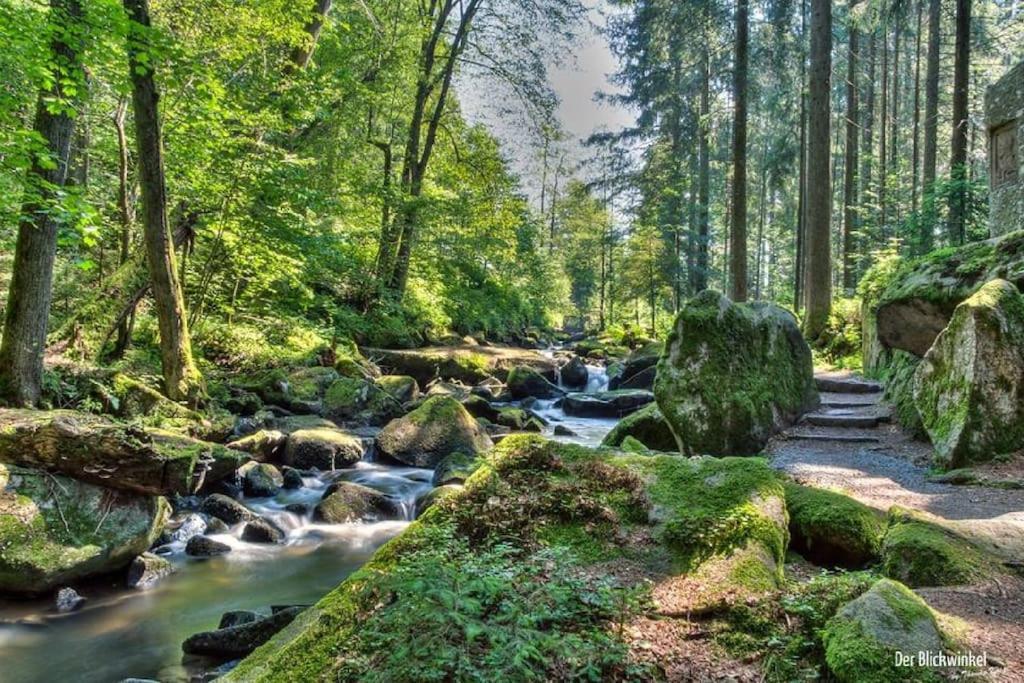 Cozy I Blockhuette Im Nationalpark I Ferienwohnung 诺雷成奥 外观 照片